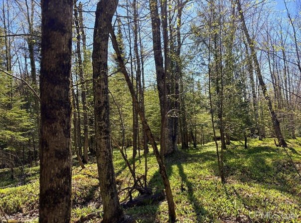 Townline Road, Skandia, MI 49855