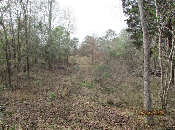 6110 FM 314, LaRue, TX 75770