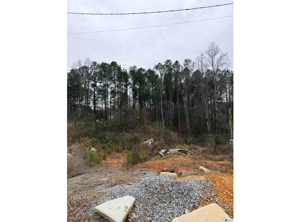 TEAL DRIVE lot: 0, HAYDEN, AL 35079