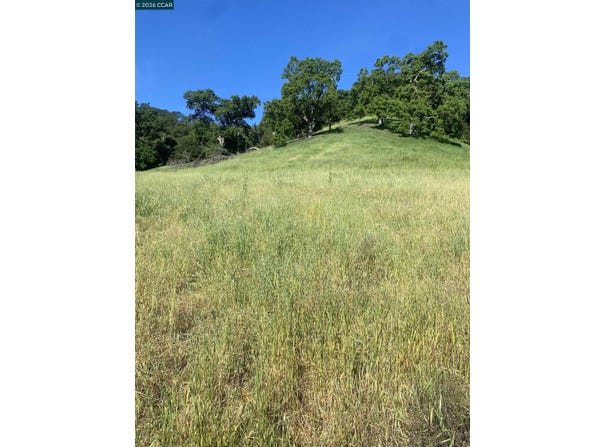 Toyon Road, Lafayette, CA 94549