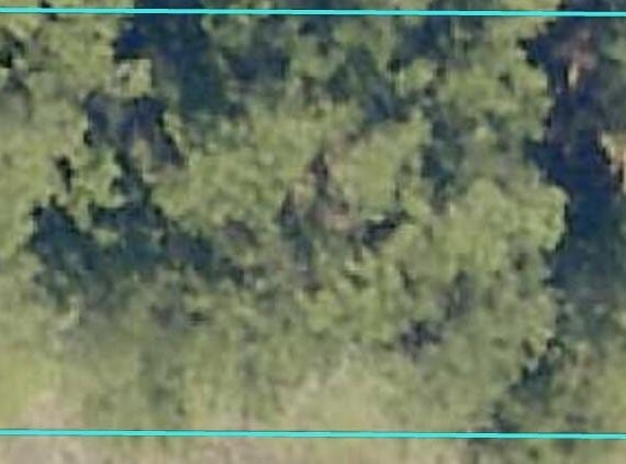 Kervin Road, Crestview, FL 32539