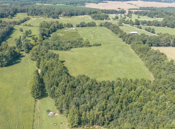 Co Rd 116, Waterloo, AL 35677