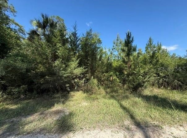 COUNTY ROAD 75, BUNNELL, FL 32110