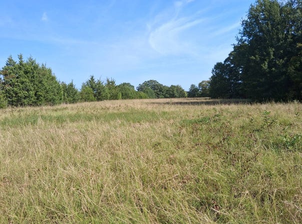 172 N 4061, Antlers, OK 74523