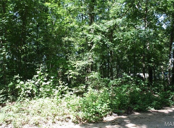 Lakview Drive, Wappapello, MO 63966