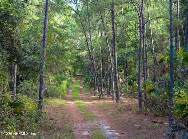 402 SIESTA Drive, Georgetown, FL 32139