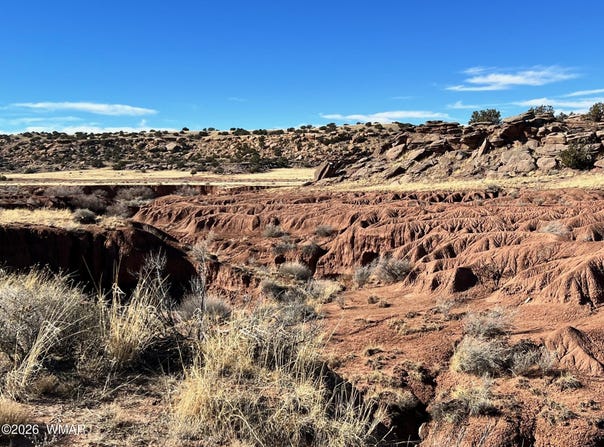 N8441 lot: 36, Concho, AZ 85924