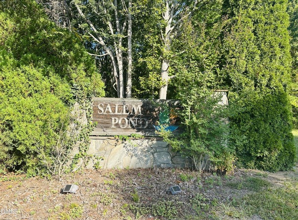 4 Salem Pond Drive, Hurdle Mills, NC 27541