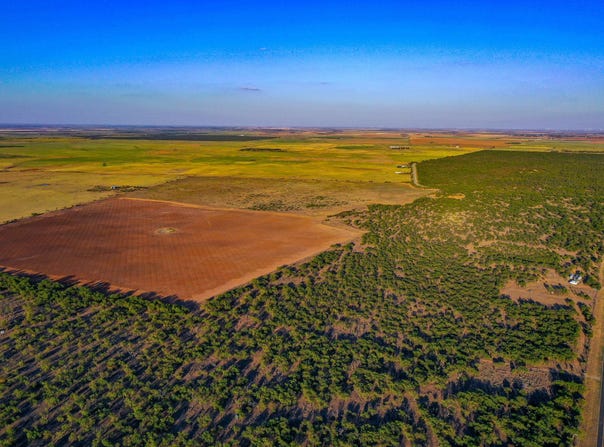 FM 2279, Rochester, TX 79544