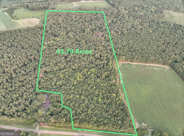 Coogle Road, Oglethorpe, GA 31068