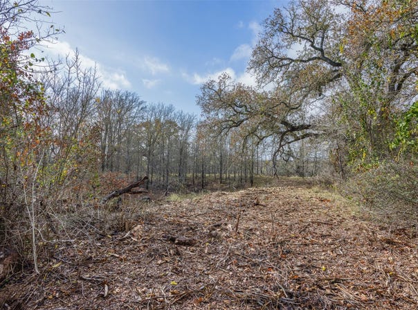 970 Bugtussle Ln, Luling, TX 78648