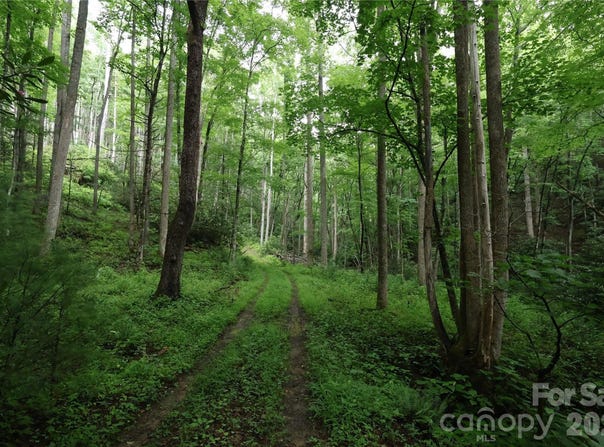 Blowing Rock Road, Lenoir, NC 28645