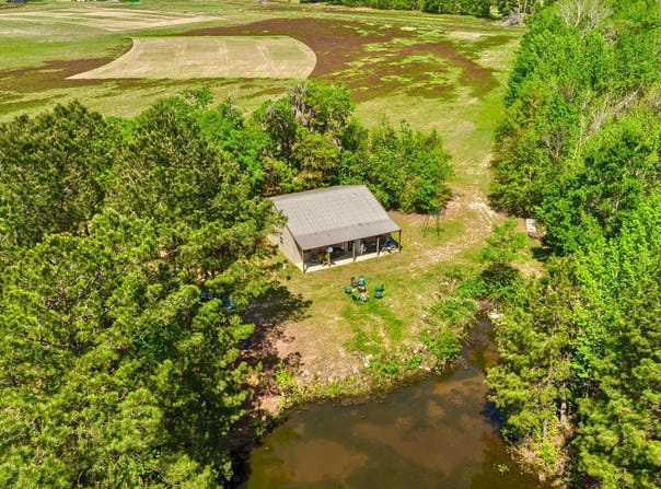 Alligator Road, Bamberg, SC 29843