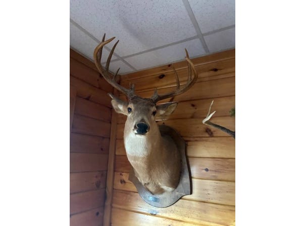 3095 Niles Road, Dawson Springs, KY 42408