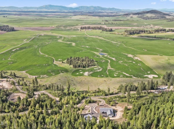 Lone Moose Dr lot: 9, Plummer, ID 83851