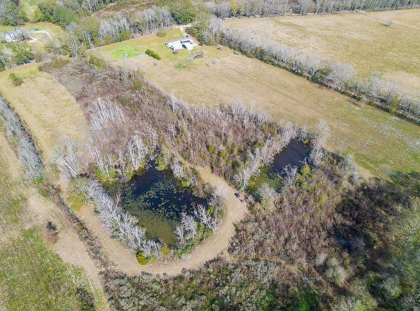 7474 Lemon Rd, Slaughter, LA 70777