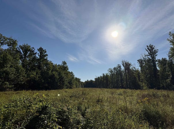 PENNINGTON ROAD, Prentice, WI 54556