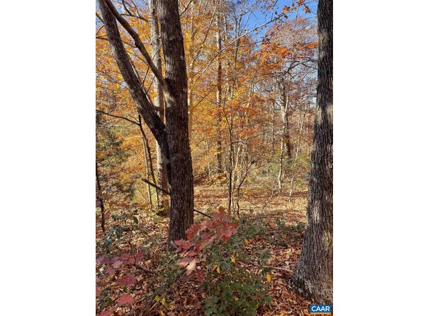 19 CHICKASAW PL, PALMYRA, VA 22963