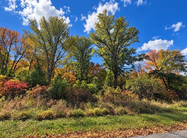 Rutsonville Road, Wallkill, NY 12589
