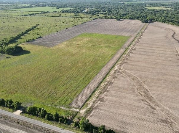 CR 343 (Harter Road), Blessing, TX 77419
