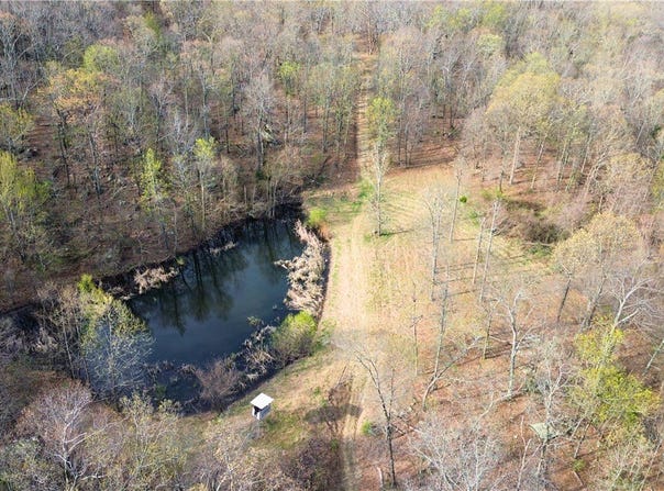320 Acres CR 921, Alpena, AR 72611