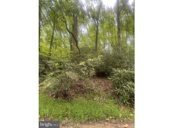 BEAR DR E, OAKLAND, MD 21550