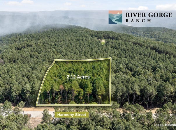 Harmony Street lot: 2017, Guild, TN 37340