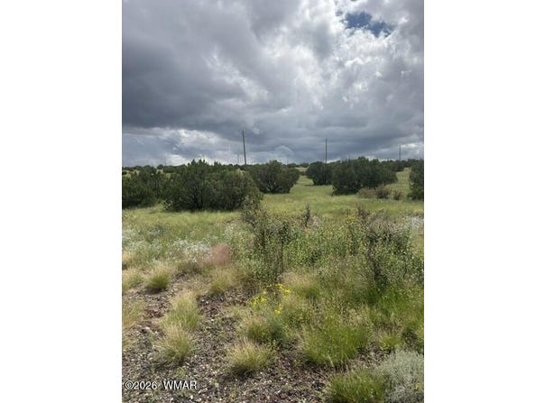 CR 5169, Concho, AZ 85924