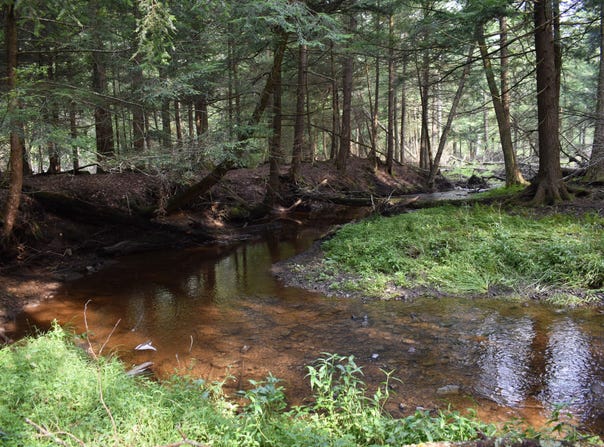 Sunback Road, Spartansburg, PA 16434