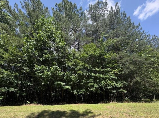 Hickory Nut Trl, Spencer, TN 38585