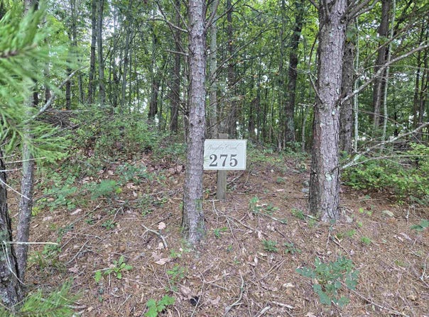 275 Kincaid Place, Mill Spring, NC 28756
