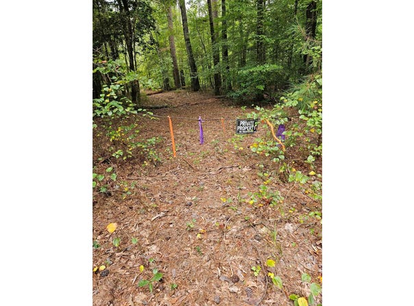 E 28 Acres Dallas 203, Carthage, AR 71725