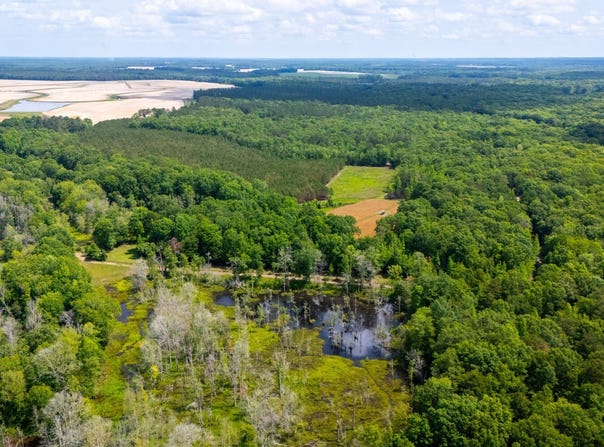 County Road 35, Midway, AL 36053