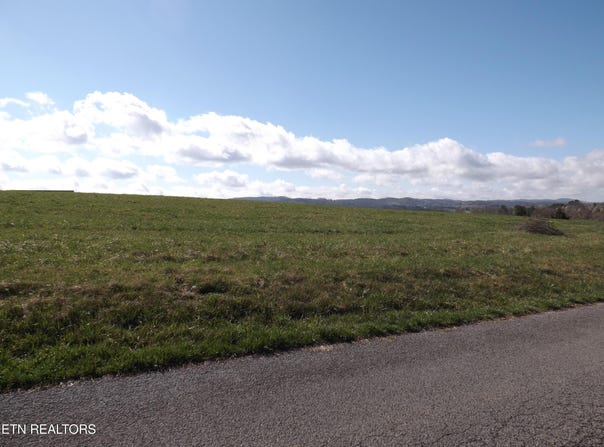 Canary Lane lot: 32/33, Speedwell, TN 37870