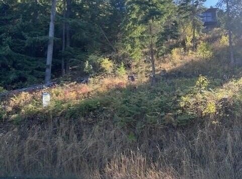 NNA Hwy 97, Harrison, ID 83833