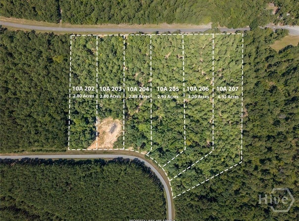 Winding Ridge Drive, Tignall, GA 30668
