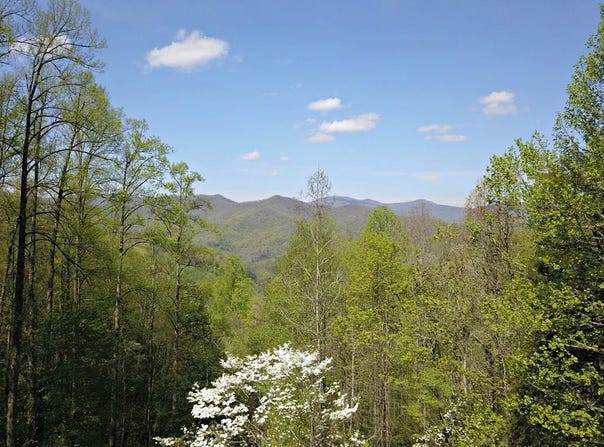 528 Early Dietz, Sylva, NC 28779