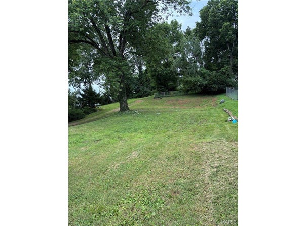 315 Iris Street, Piedmont, MO 63957