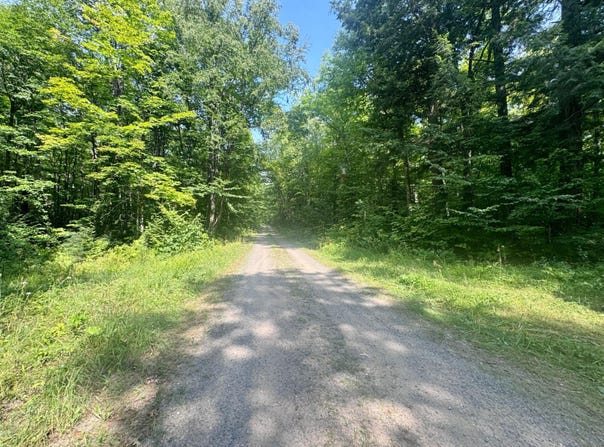 80AC off FOREST RD 3350, Iron River, MI 49935