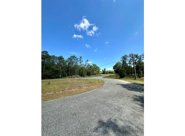 NE Willstone Way, Steinhatchee, FL 32359