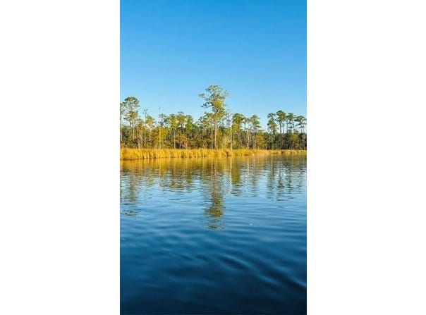 Cedar Trace, Mobile, AL 36582