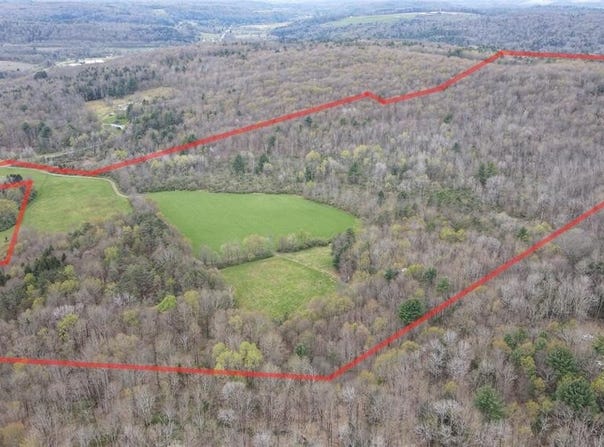 124 Page Rd, CHENANGO FORKS, NY 13746