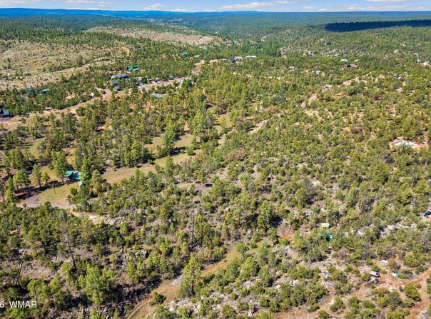 1794 Canyon Drive, Heber, AZ 85928