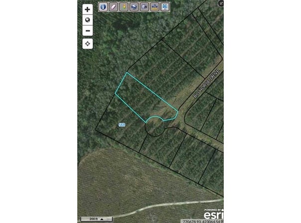 Big Horse Drive, Waynesville, GA 31566