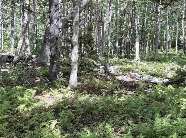 Cross Road, Windham, VT 05359