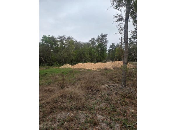127 SEQUOIA Trail, OCKLAWAHA, FL 32179