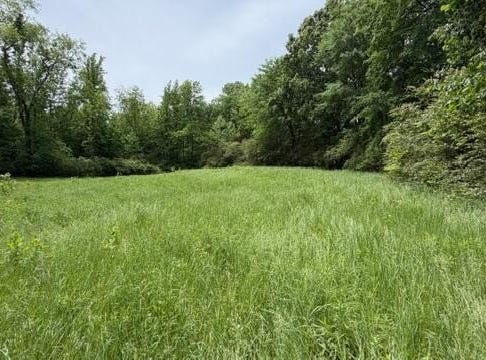 Terry Road, Cedar Grove, TN 38321