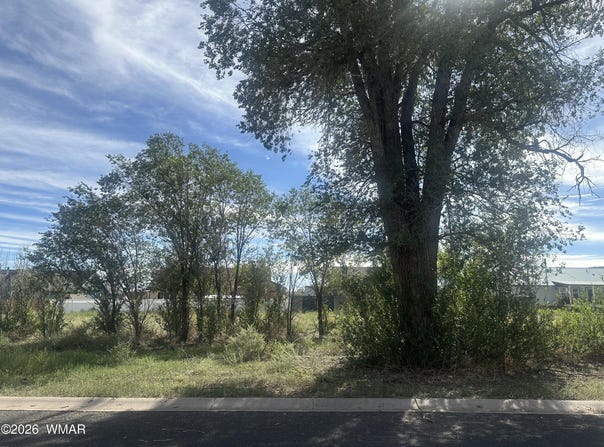 S River Road lot: 143, Eagar, AZ 85925