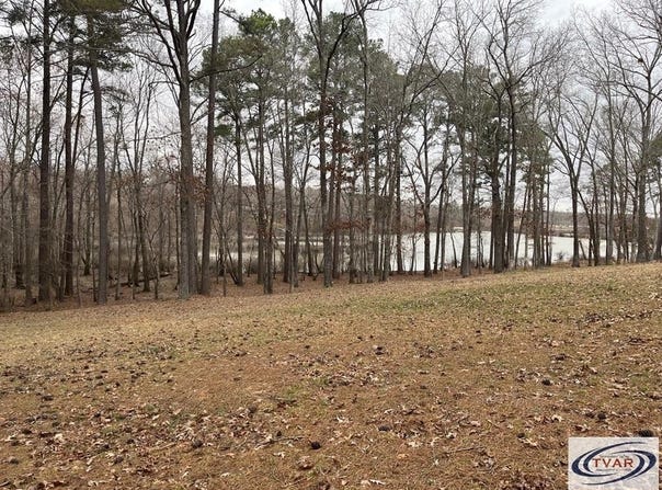 Catfish Drive, BUCHANAN, TN 38222