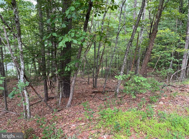 FAWN Drive, BASYE, VA 22810